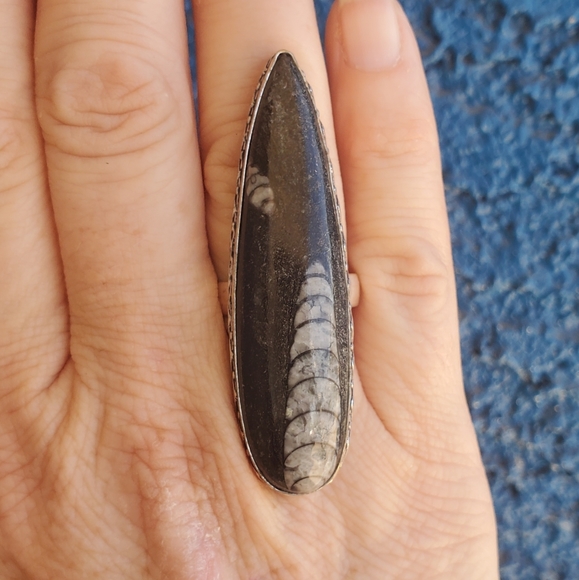 New Oversized Orthoceras Fossil 925 Silver Statement Ring. - Picture 4 of 16